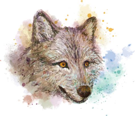 Download HD Gray Wolf Painting Red Fox Drawing Hand - 水彩 狼 素材 Transparent PNG Image - NicePNG.com