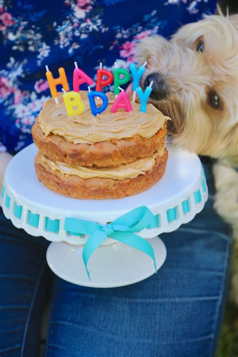 Dog Birthday Cake Recipe For Your Furry Friend - Bigger Bolder Baking