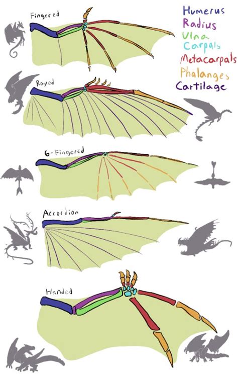 Dragon wings | Dragon sketch, Wings drawing, Dragon drawing