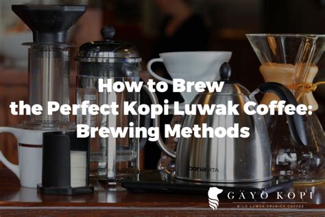 How to Brew the Perfect Kopi Luwak Coffee: Brewing Methods & Instructions - Gayo Kopi Luwak