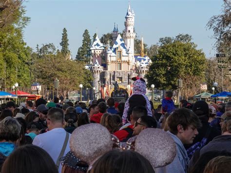 Videos show hordes of people lined up for blocks to get into Disneyland after it dropped its ...