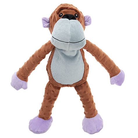 Top Paw® TUFF with Bite Shield™ Protection Monkey Dog Toy - Plush, Squeaker | dog Plush Toys ...