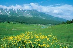 Kashmir - Climate & Culture - explore now