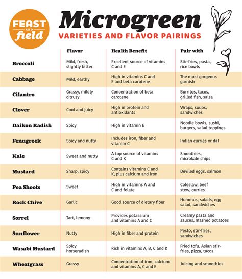 Microgreens Garden, Microgreens Recipe, Growing Microgreens, Greenhouse Gardening, Gardening ...