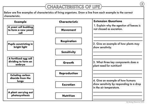 Characteristics Of Life Biology Worksheet