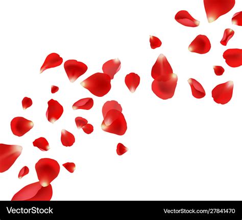 Petal background flying rose petals wedding Vector Image