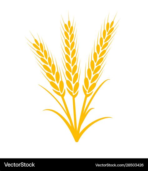 Wheat plant grain icon Royalty Free Vector Image