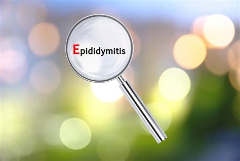 10 Symptoms and Treatments for Epididymitis - Health & Detox & Vitamins