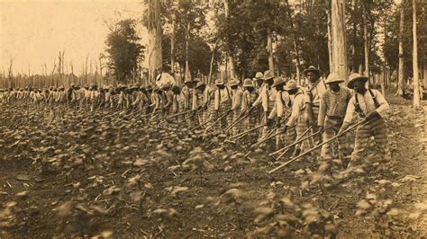 Parchman prison: History of Mississippi's oldest penitentiary