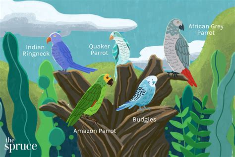 Expert Guide: Which Parrots Are The Best Talkers?