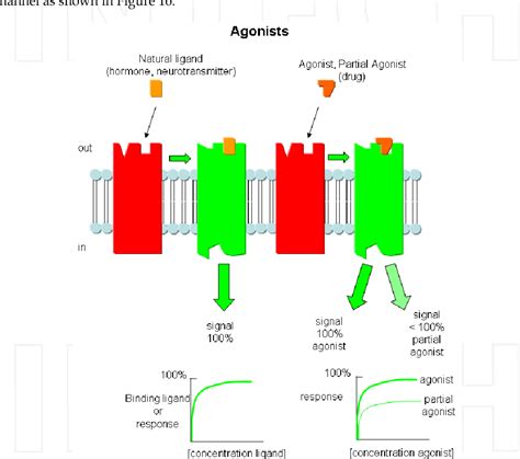 Figure 16 from 1 Enzyme Inhibition : Mechanisms and Scope | Semantic ...