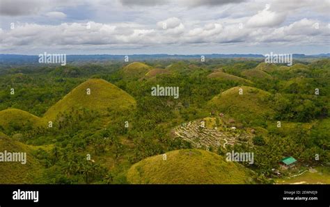 Aerial view of Chocolate hills in Bohol island,Philippines. Hills ...