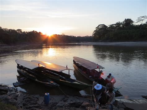 Amazon Jungle, Peru | Adventure, Peru, Jungle