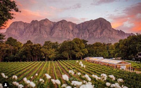 The Most Romantic Wine Estates in Cape Town - Explore Sideways