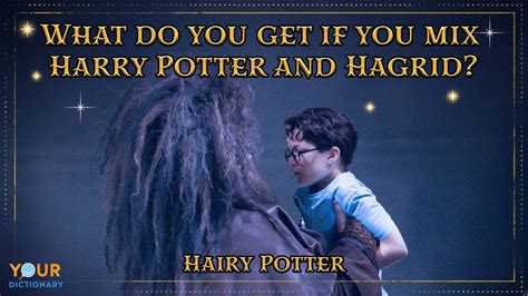 75 Harry Potter Puns Worthy of a Hogwarts Education | YourDictionary