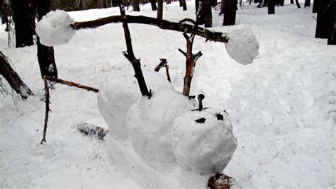 News Quest: Funny snowman