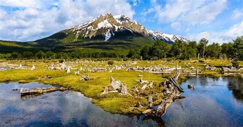 Tierra del Fuego National Park Travel Guide - Latin America For Less