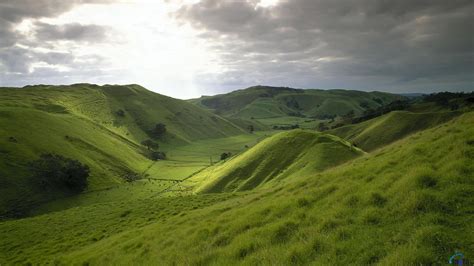 Download Wallpaper Rolling Hills of New Zealand 1920 x 1080 HDTV