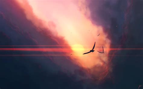 Birds flying at dawn (2560x1600) : r/wallpaper