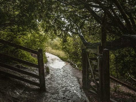 Box Hill Walk via The Stepping Stones: Ultimate Guide - She walks in ...