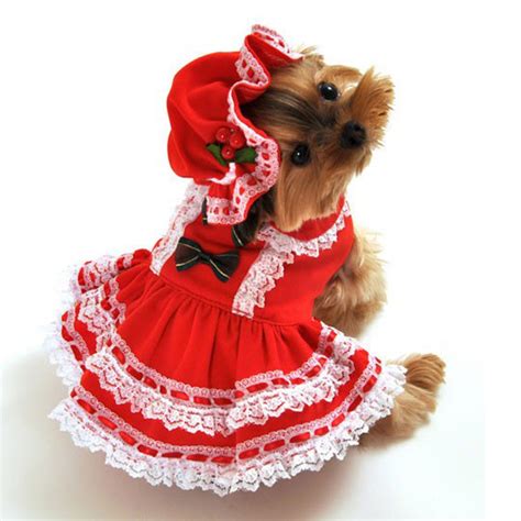 Miss Santa Baby Dog Costume | BaxterBoo