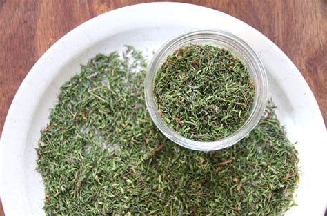 How to Dry Thyme Sprigs in Bulk • a traditional life