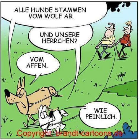 Sign in | Lustig, Cartoon witze, Humor deutsch