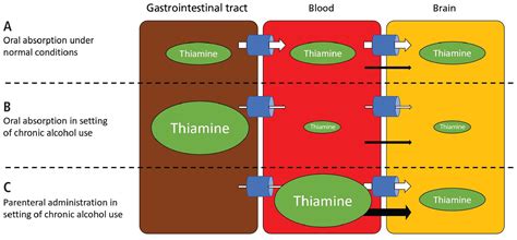 Which patients hospitalized with alcohol withdrawal syndrome should ...