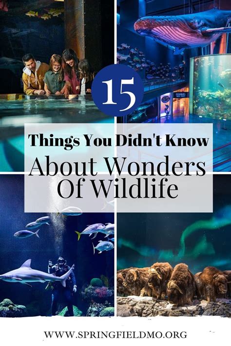 15 Things You Didn't Know About Wonders Of Wildlife | Branson missouri vacation, Wildlife ...