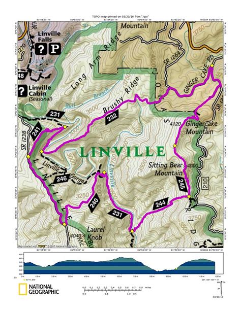 Adventures in Pisgah: Another Linville Gorge Half Marathon