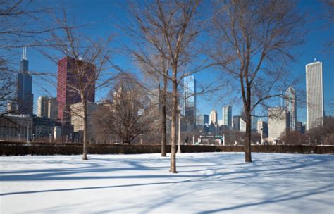 Chicago Skyline And Grant Park In Winter Stock Photo - Download Image Now - iStock