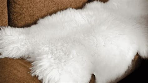 How To Clean Sheepskin Rug: Step By Step Process!