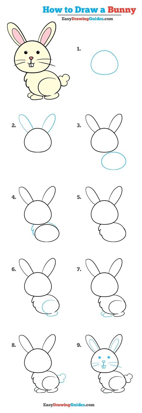 How to Draw a Bunny in a Few Easy Steps | Easy Drawing Guides | Easy drawings for kids, Bunny ...