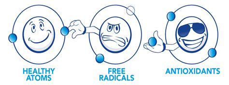 What exactly are Free Radicals and Antioxidants? - Field of Fitness Ltd