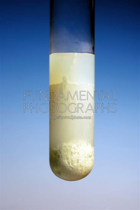 science chemistry double displacement reaction silver nitrate | Fundamental Photographs - The ...