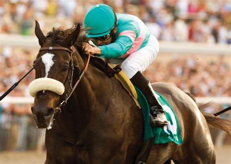 The Tale of Zenyatta is Worth Hearing Again and Again