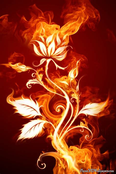 🔥 [70+] Fire Flower Wallpapers | WallpaperSafari