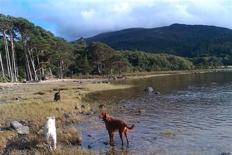 Guided Killarney National Park Walking Tour: Triphobo