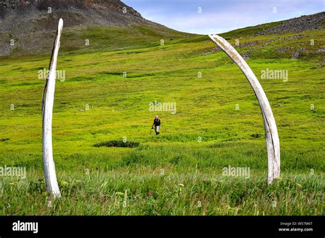 Whale Bone Alley High Resolution Stock Photography and Images - Alamy