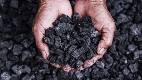 Advantages and Disadvantages of Coal: Should We Use It? - Tech Quintal