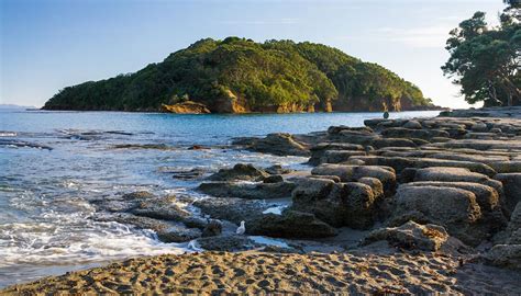 Why the Matakana region is a perfect holiday spot for Aucklanders with toddlers | Newshub