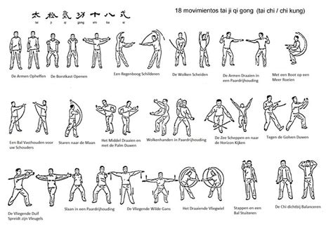 29 best images about Tai Chi - Qigong on Pinterest