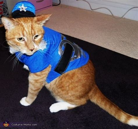 Homemade Cop Costume for Cats | DIY Costumes Under $35 | Cat costumes, Pet halloween costumes ...