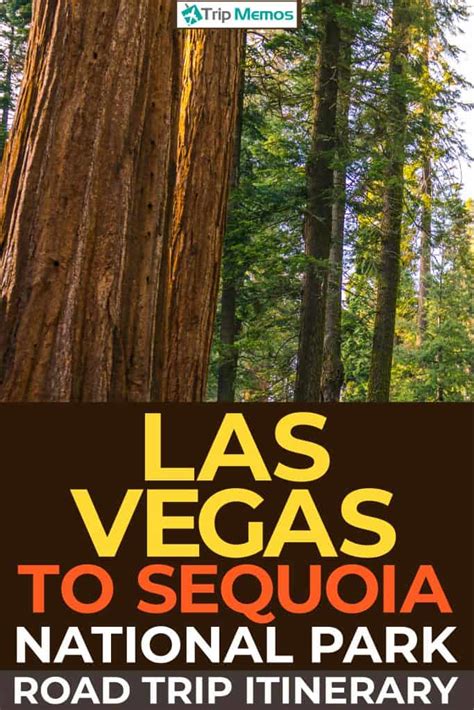 Las Vegas To Sequoia National Park Road Trip Itinerary