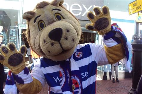 Reading FC mascot Kingsley Royal's name smeared by copycat - Berkshire Live