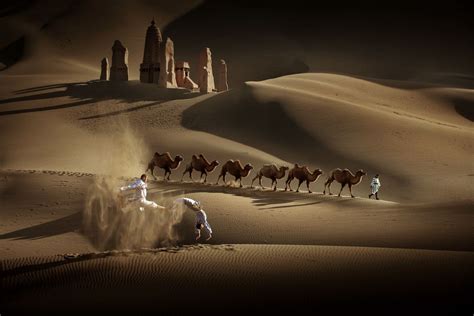 Desert Camel Shadow | Smithsonian Photo Contest | Smithsonian Magazine