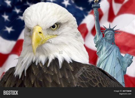 Bald eagle with statue of liberty and the american flag out of focus ...