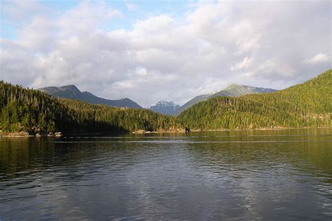 Tofino Hot Springs Trip | GoTofino.Com