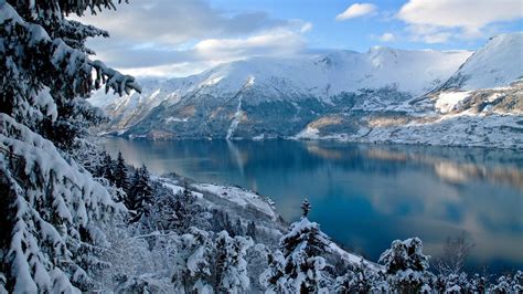 4K, 5K, Pulpit Rock, Norway, Winter, Snow, Fjord, HD Wallpaper | Rare ...