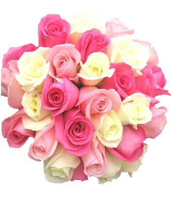 Pink & White Roses @ Jacobsen's Flowers & Gift Baskets
